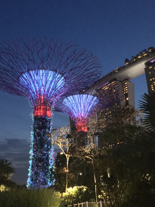 Singapore Marina Bay Sands and Supergrove Tree in Gardens by the Bay Singapore