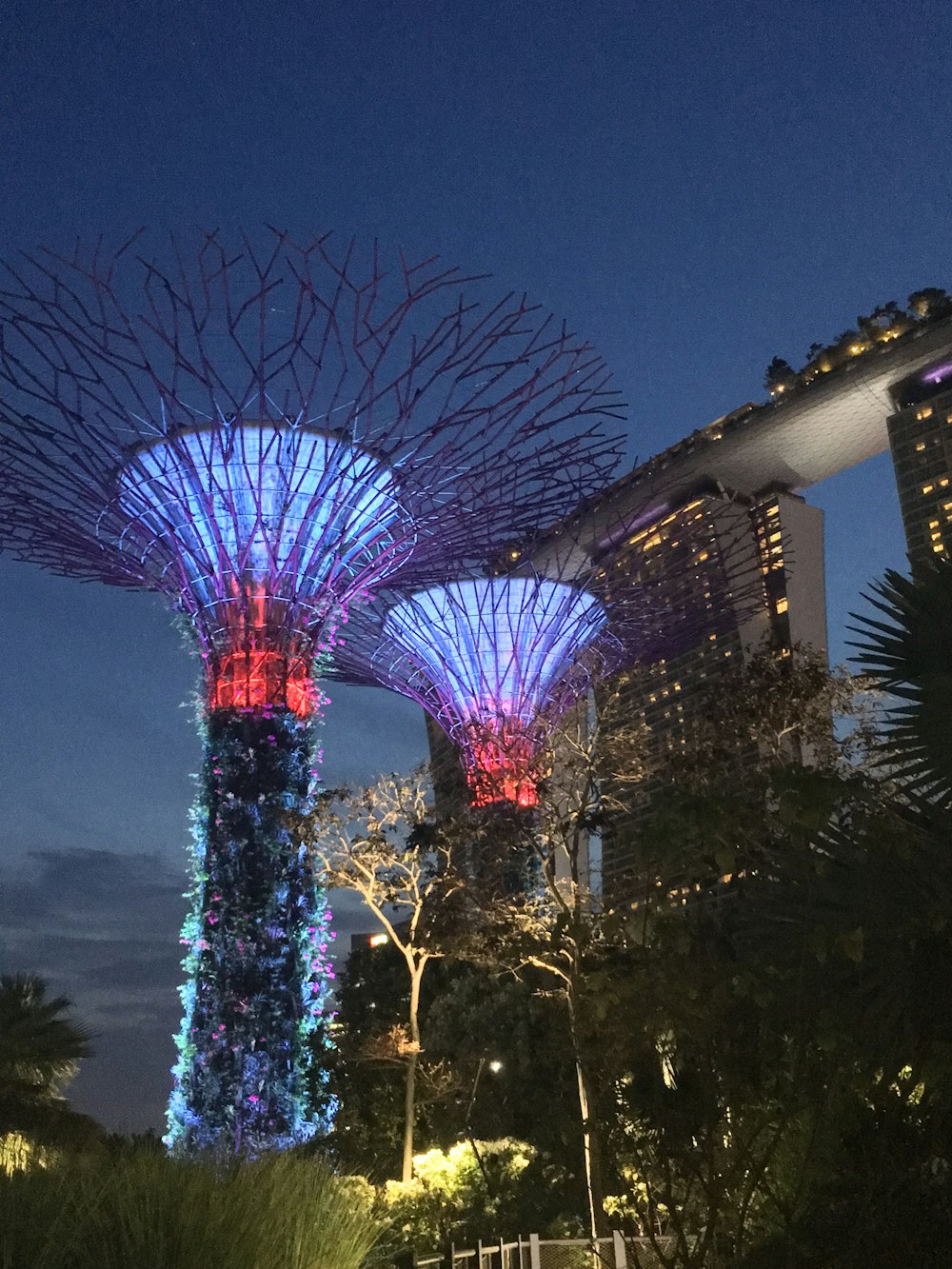 Singapore Marina Bay Sands and Supergrove Tree