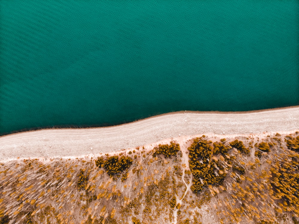 aerial photography of shoreline
