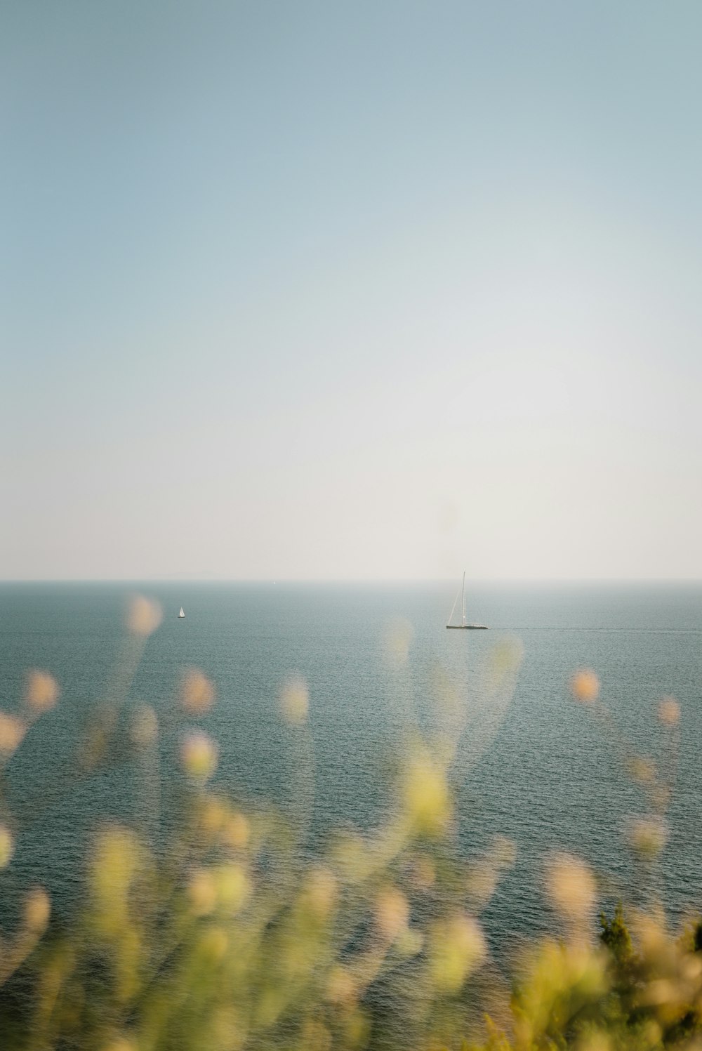 barco de escuna em mar calmo durante o dia
