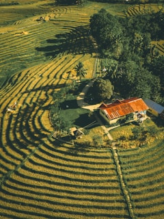 brown and white concrete house near grass