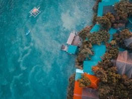aerial photography of houses and sea