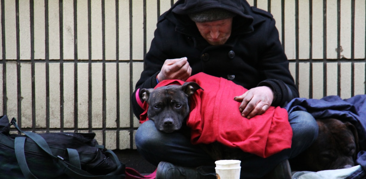 dog on top of person's lap while sitting on ground at daytime