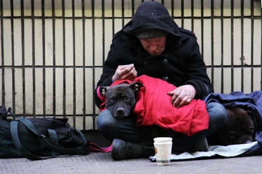 dog on top of person's lap while sitting on ground at daytime