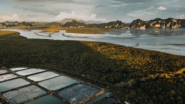 An expansive aerial view captures an intricate landscape featuring a dense, verdant forest bordered by winding waterways. In the foreground, several rectangular fish ponds or salt pans are visible, adding a geometric contrast to the natural surroundings. Rugged mountains rise in the background, under a sky partially filled with clouds.