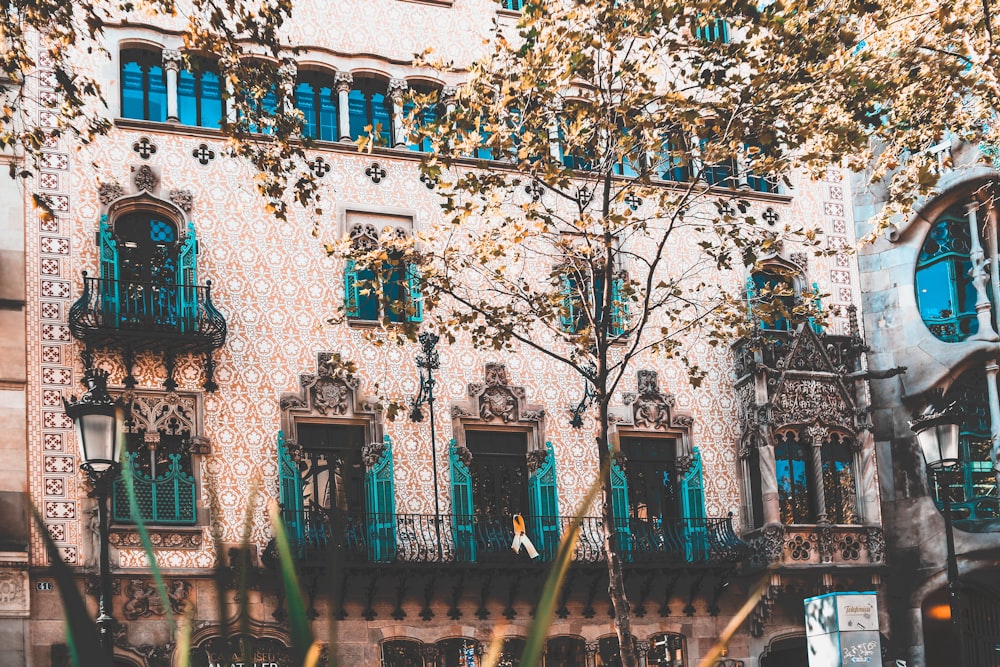 building near tree during daytime photo