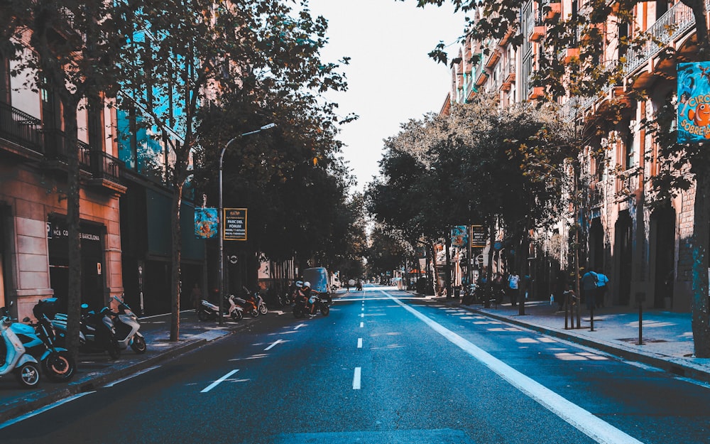 gray concrete road between buildings