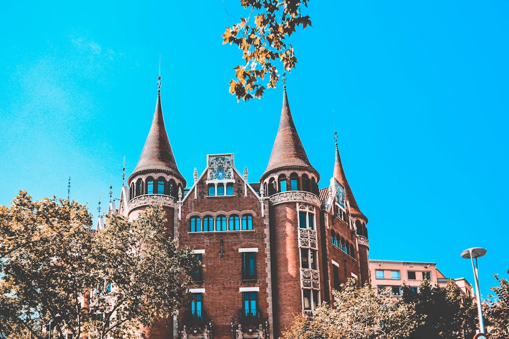 brown church beside trees during daytime