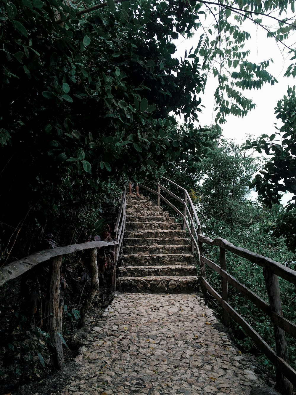 brown stairs beside trees