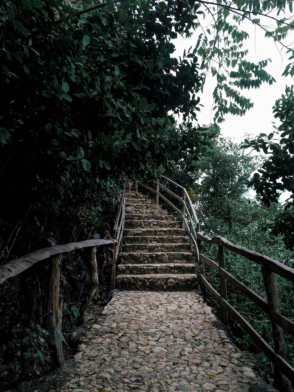 Escaleras marrones junto a los árboles