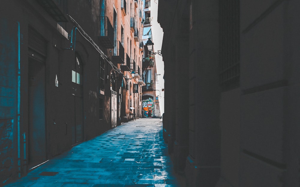 pathway surrounded by building