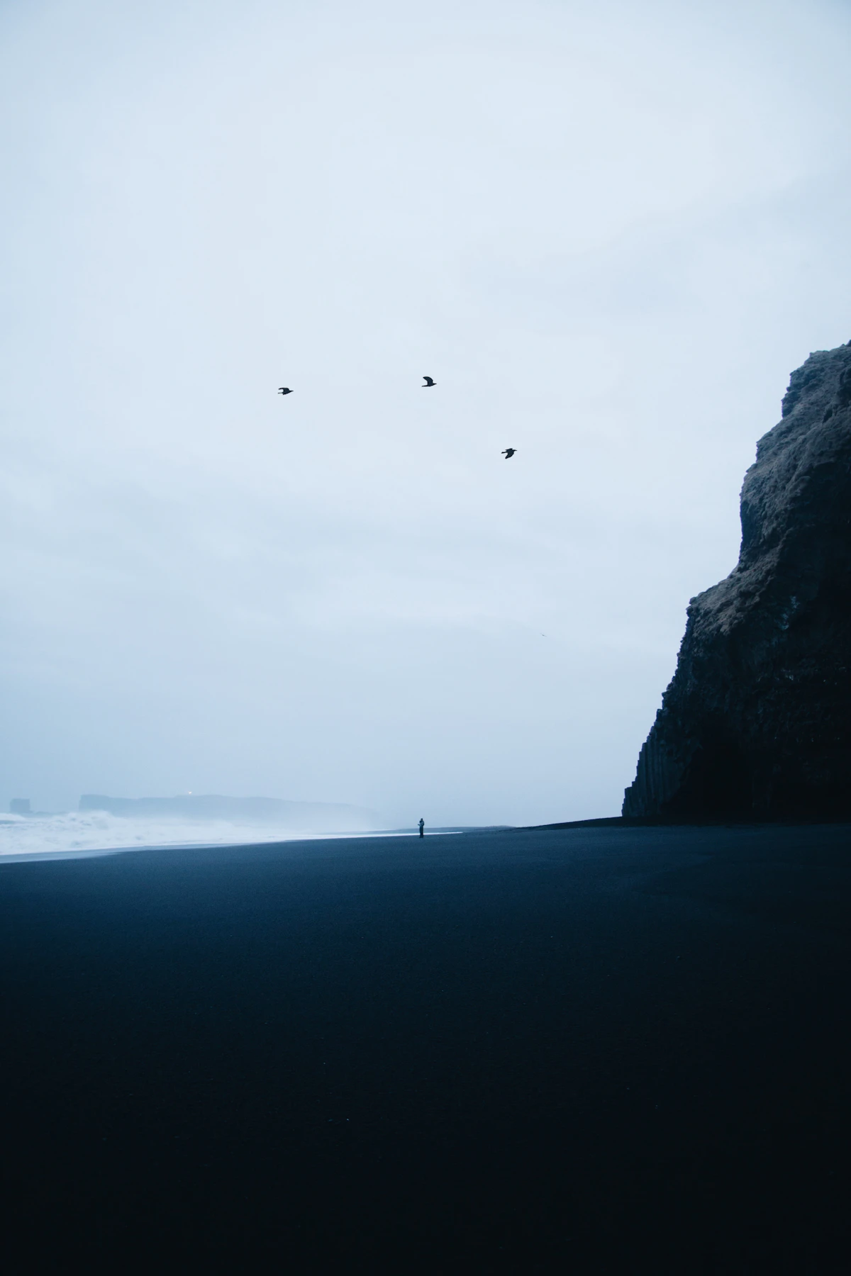 Playa de arena negra Reynisfjara con aves marinas en Vík, Islandia