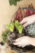 Hands carefully placing crystal flowers in a garden bed.