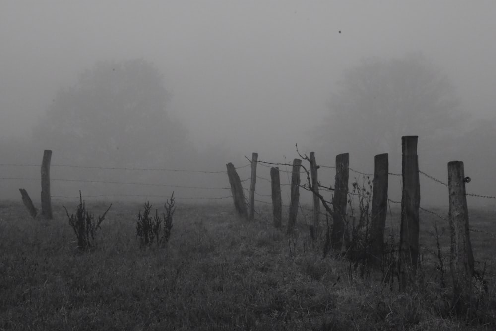 grayscale photo of wooden poles
