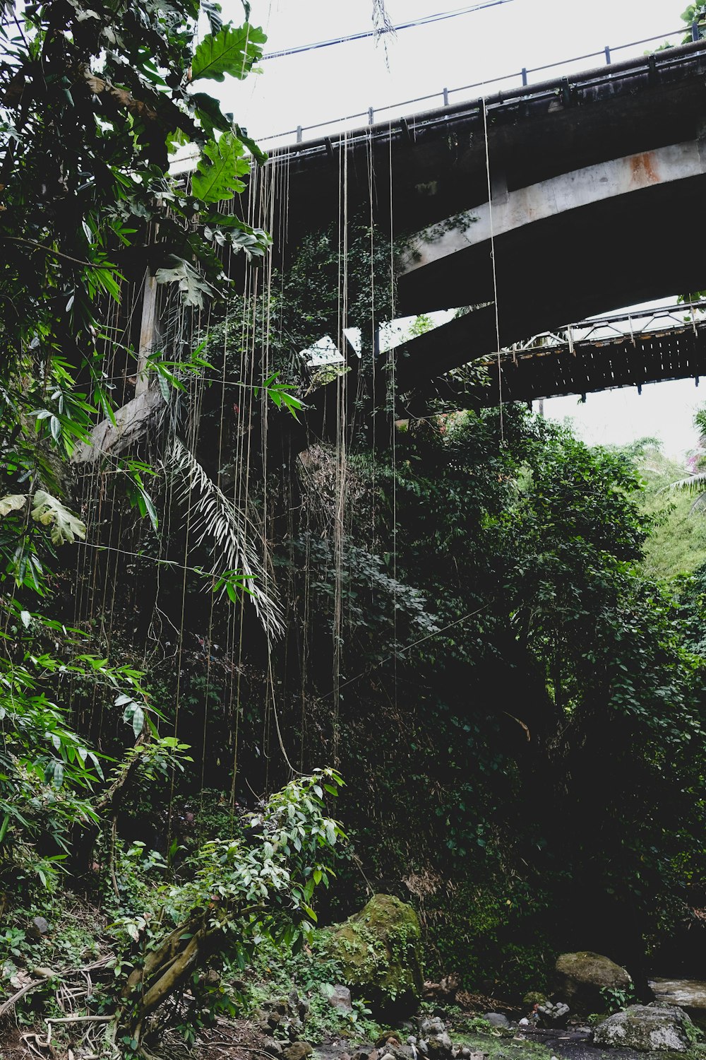 view of hanging bridge