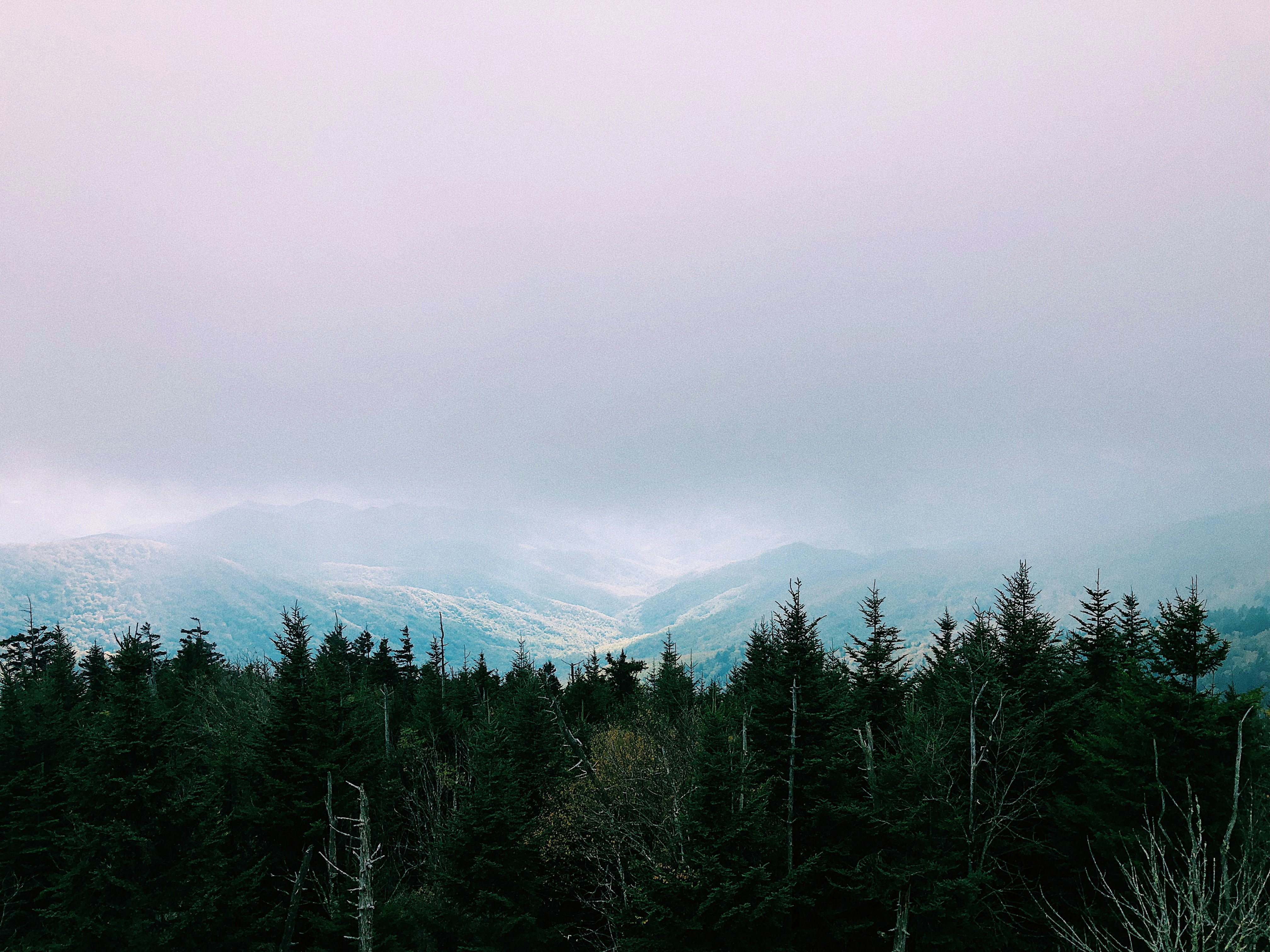 Choose from a curated selection of blue wallpapers for your mobile and desktop screens. Always free on Unsplash.