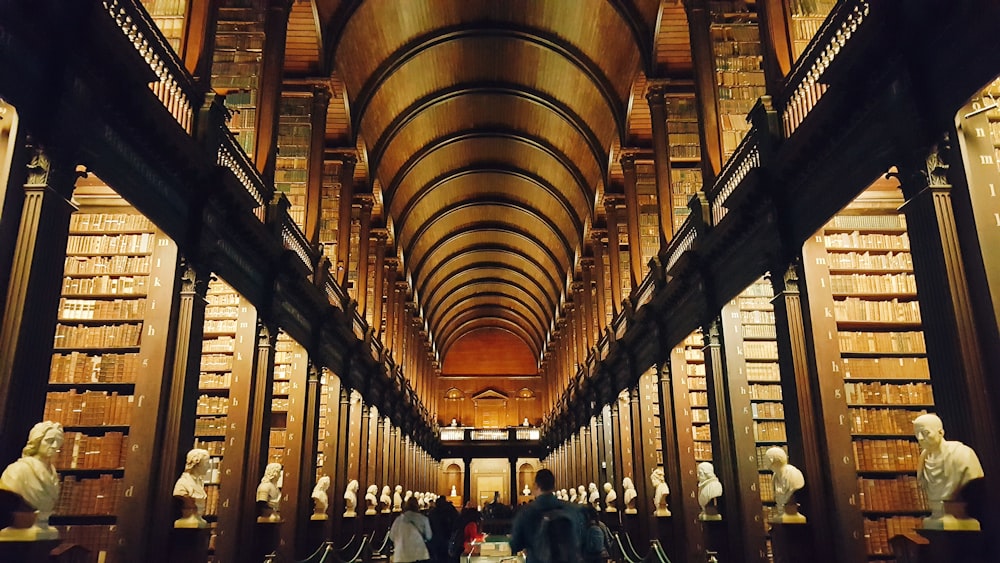 people inside library