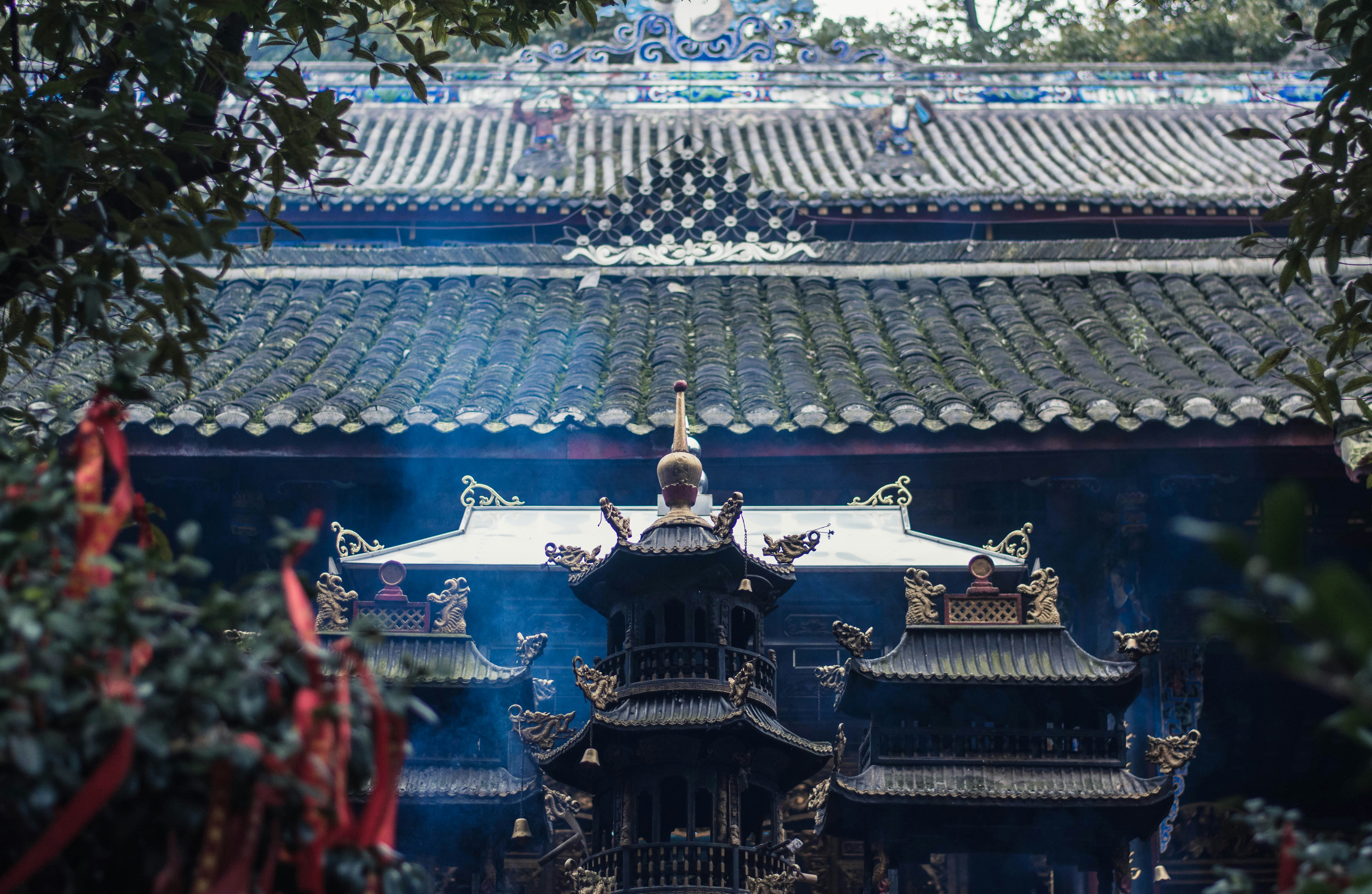 Photo by janerzhang
