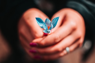 Close-up of a beautifully manicured hand holding a delicate flower.