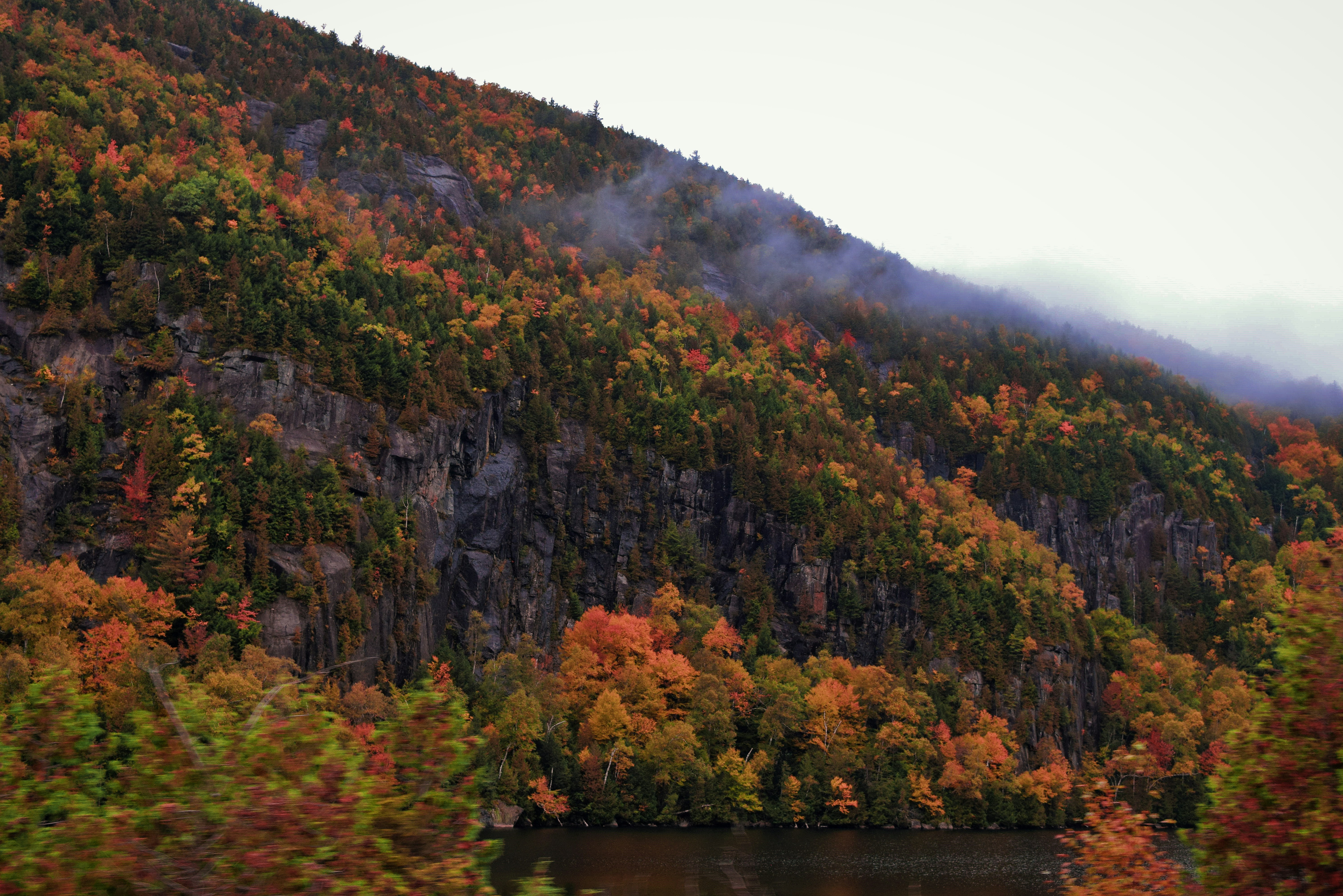 Photo by aidanmclaughlin