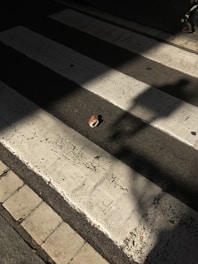A small child's shoe lies abandoned on a pedestrian crosswalk, partially illuminated by sunlight, casting a shadow. The crosswalk stripes are weathered and cracked, and a stroller wheel is visible at the edge of the frame.