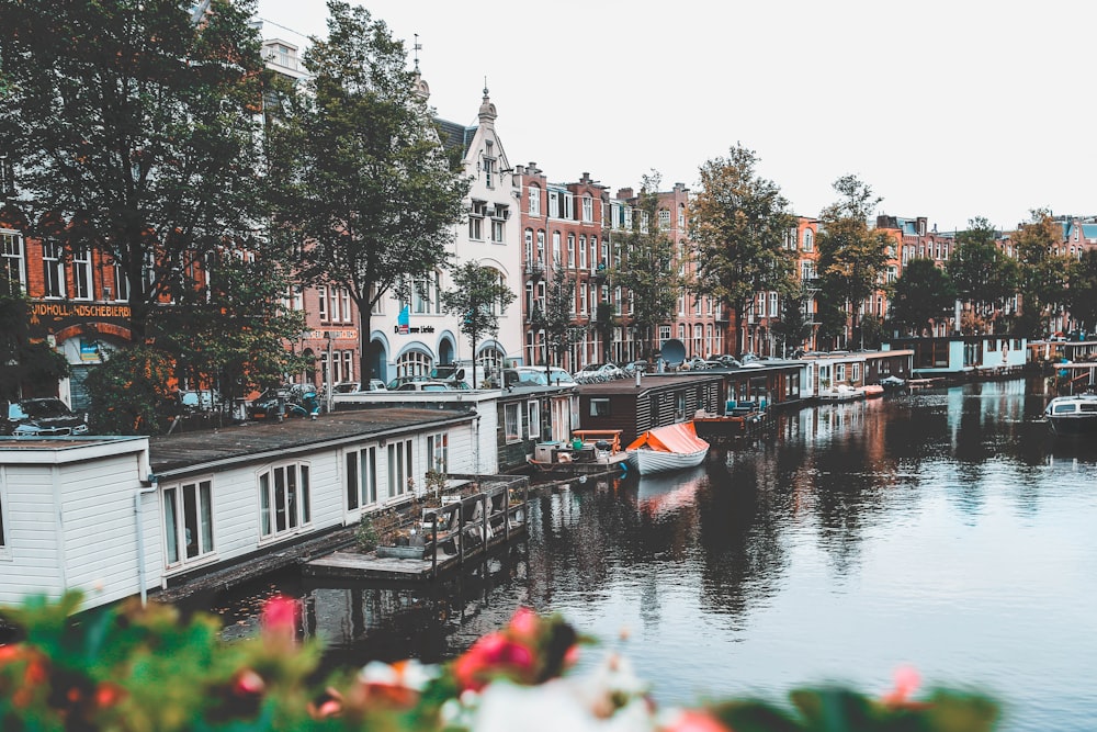 view of a riverside in a city