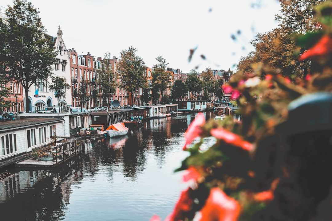 buildings in front of body of water