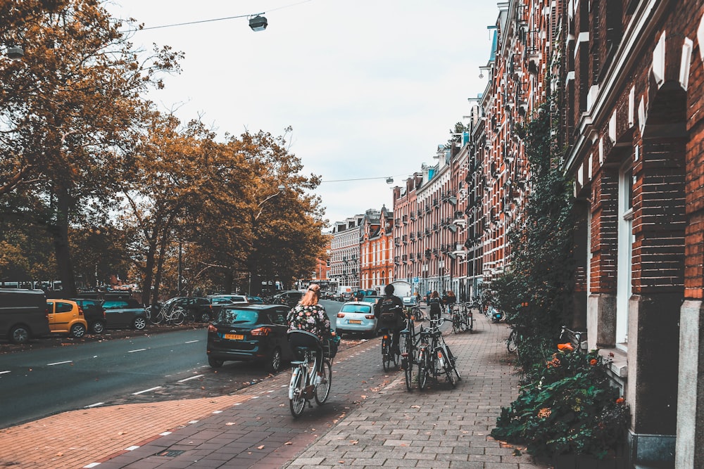 cars on road