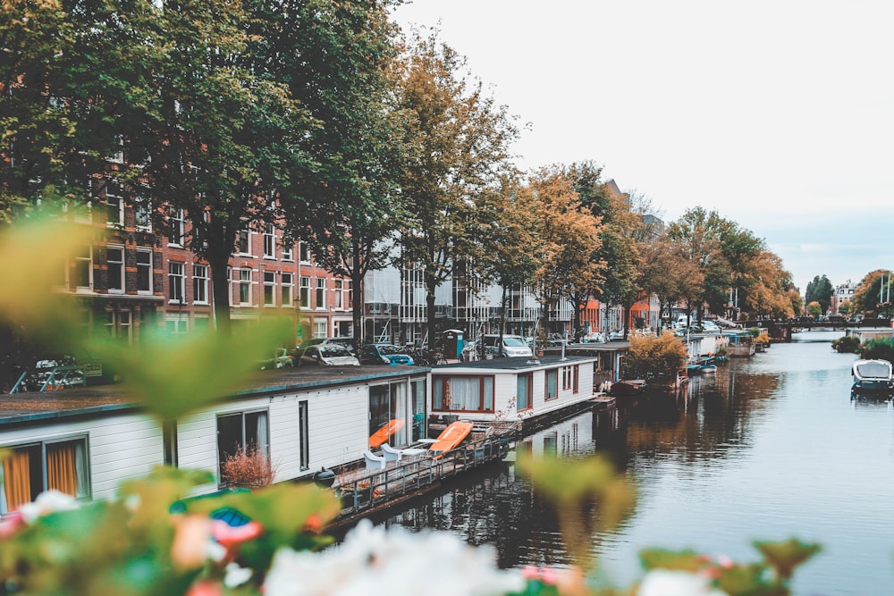 houses and buildings near body of water