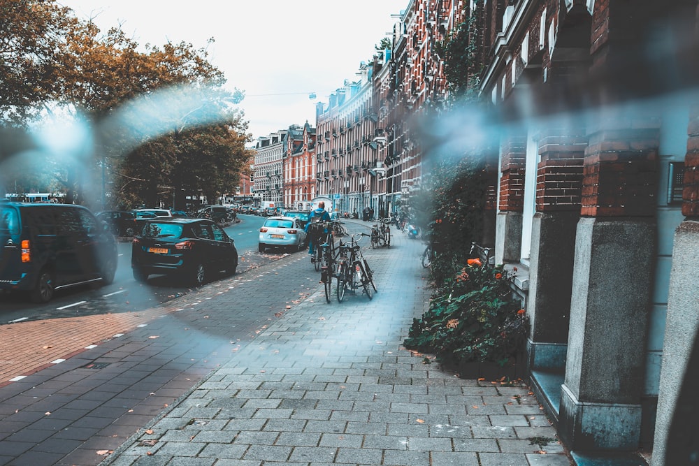 person riding bicycle beside road