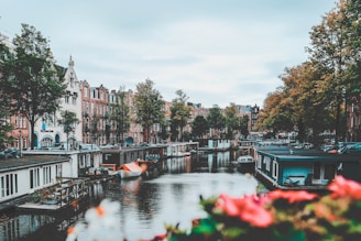 boats on water near buildings