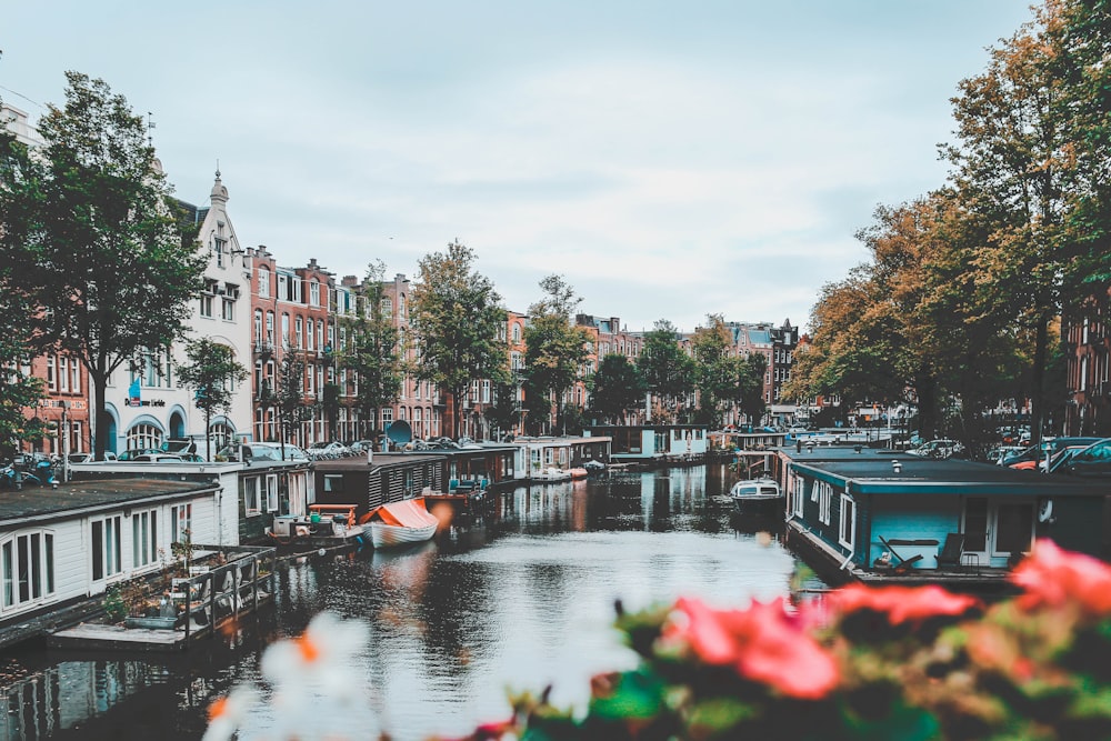 boats on water near buildings