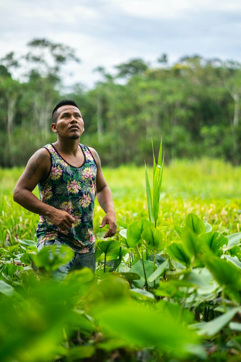 man standing between green plants