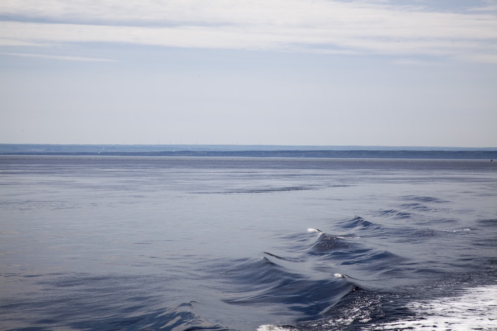 sea under gray sky during daytime