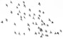 low angle photography of flock of silhouette of bird illustration