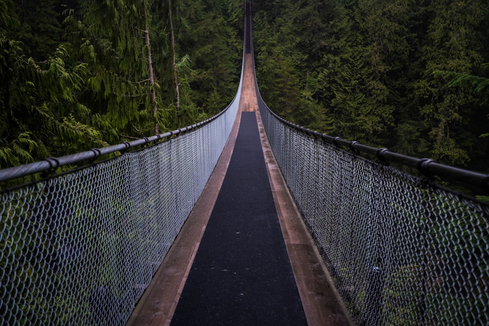 Schwarze und graue Brücke, umgeben von Bäumen