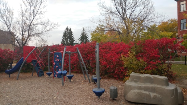 A playground with various play structures, including slides and climbing elements. The playground is set in an outdoor area with a backdrop of red autumn bushes and leafless trees. The ground is covered with wood chips, and there are residential buildings visible in the background.