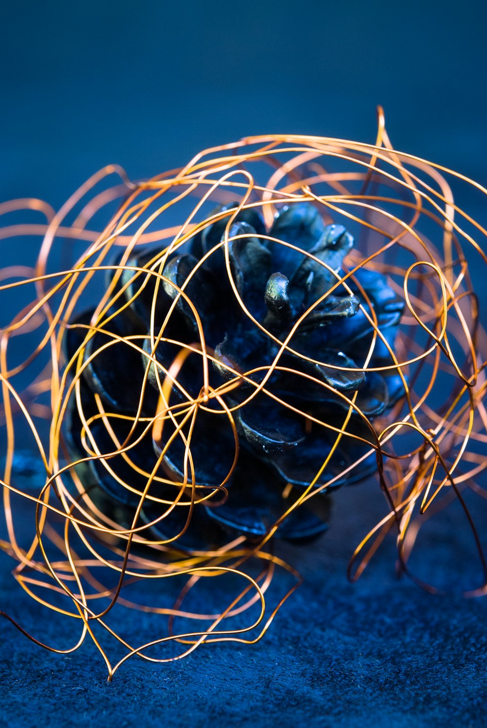 black pine cone on black surface