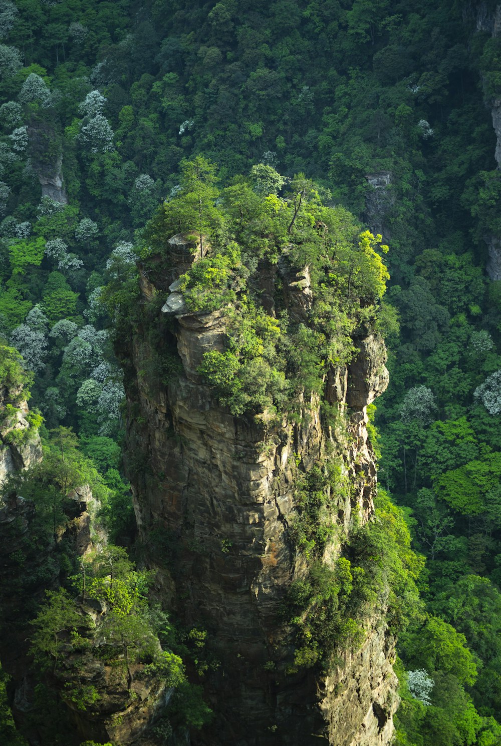 aerial photography of brown rock formation with plants