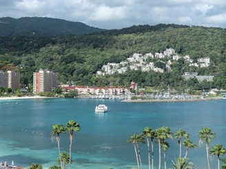 A picturesque coastal scene featuring a bay with clear turquoise water, surrounded by lush green hills. Numerous white buildings, likely hotels or residences, are nestled into the hillsides, and a few taller apartment buildings are visible closer to the water. There's a marina or dock area next to the water with various small boats, and several tall palm trees are in the foreground.