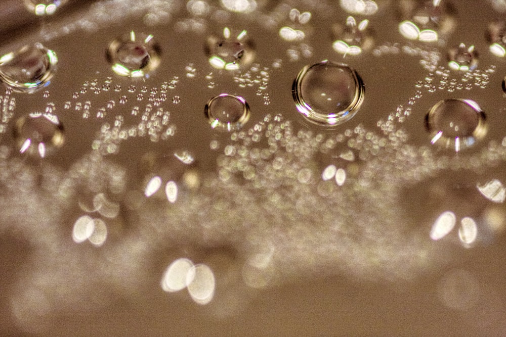 a close up of water droplets on a surface