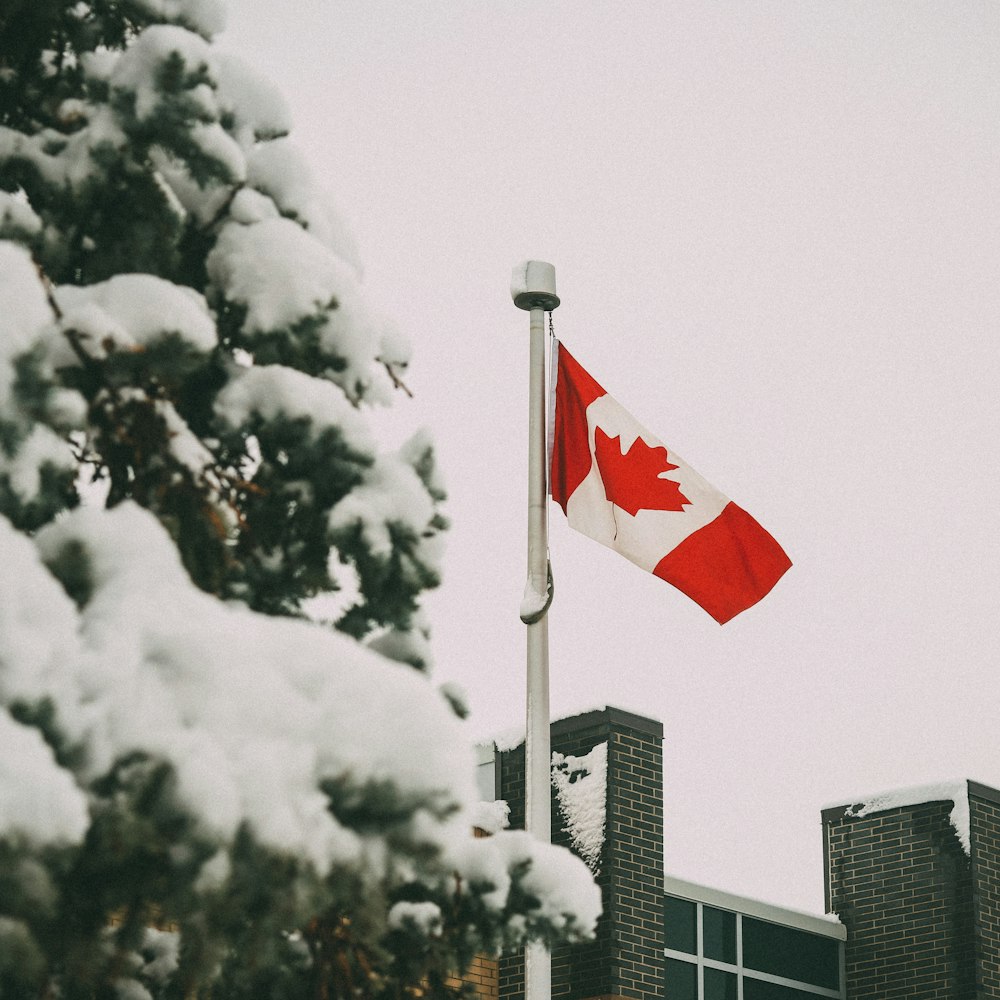 Canada flag waving near buildings