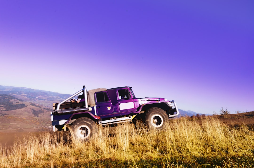 purple Hummer on field