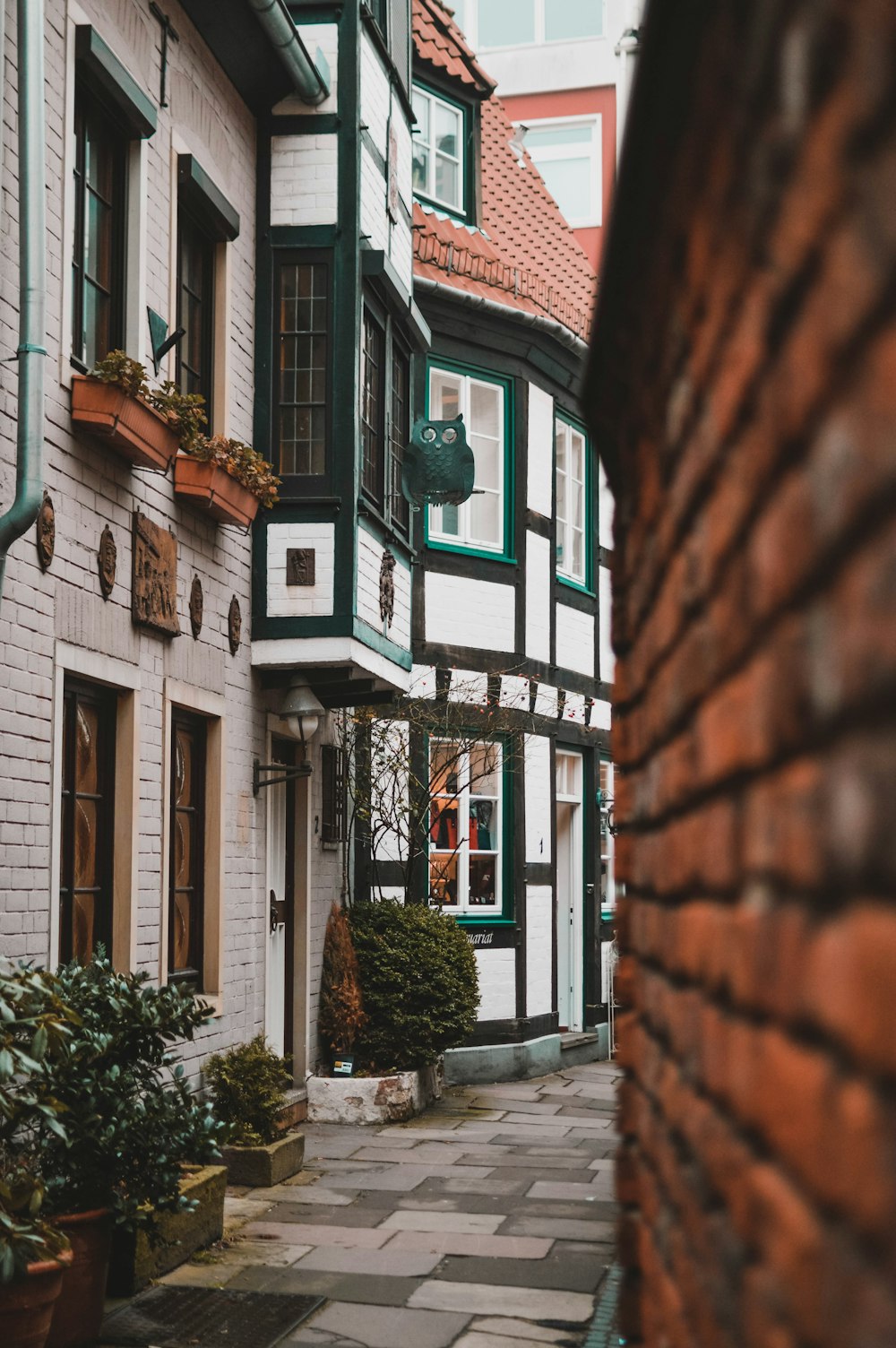 white and black wooden house