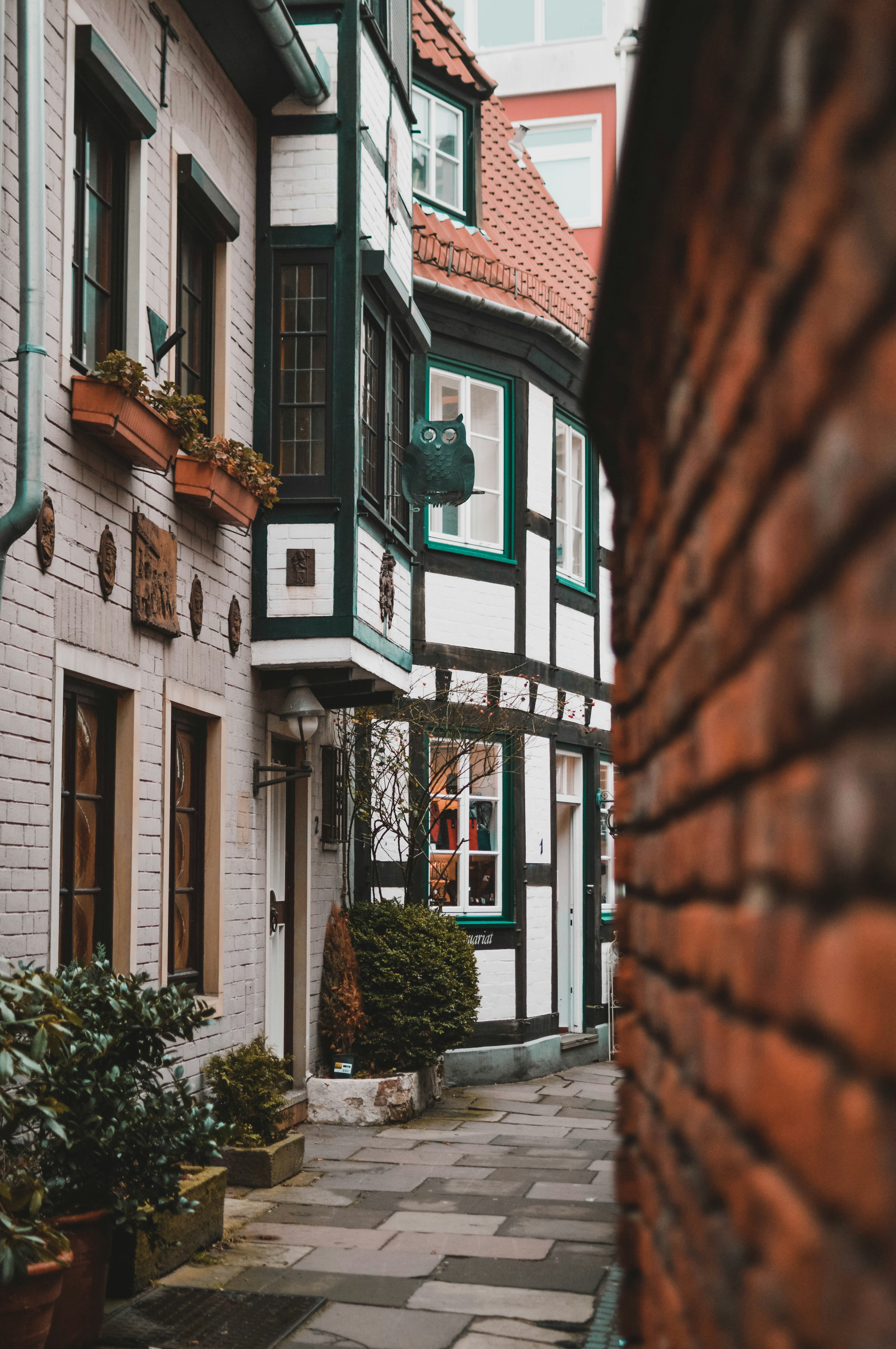 white and black wooden house