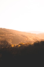 A warm autumn European landscape with golden leaves and soft terracotta hues.