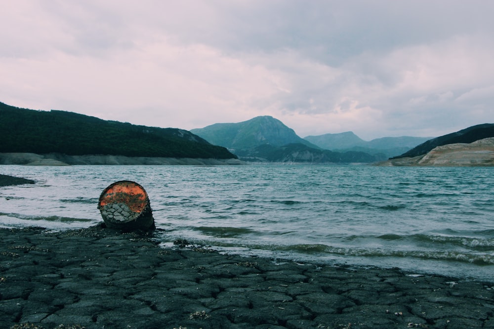 black wood log on seashore