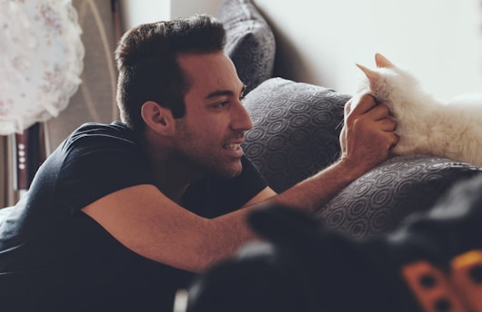 man fetching cats face