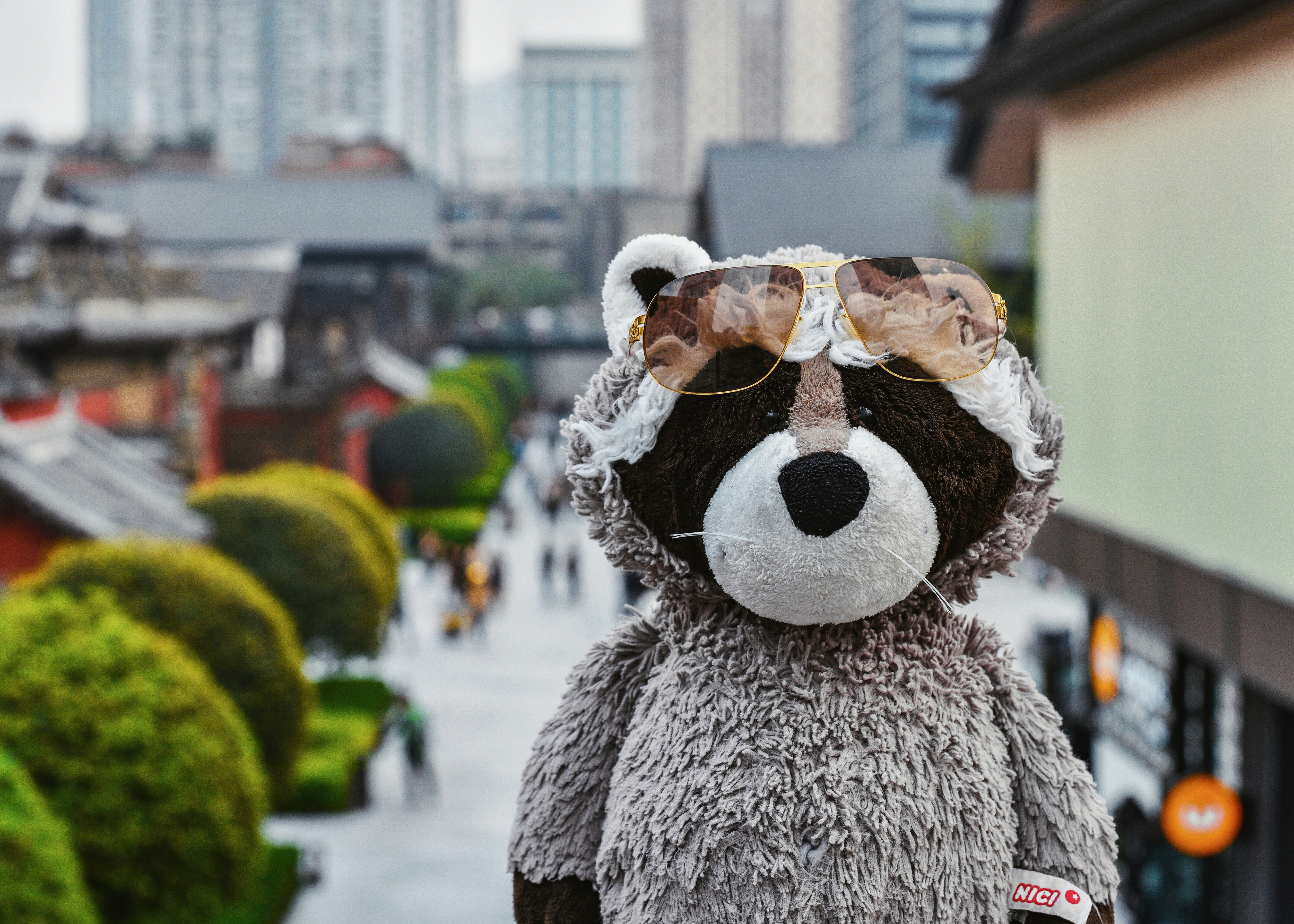 " PENTELKA"S.J. D.Nowak, G.Nowak