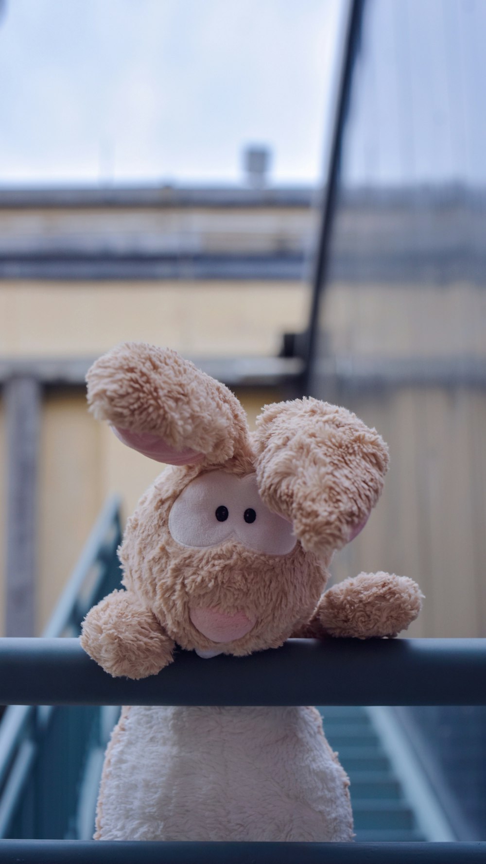 shallow focus of brown animal plush toy